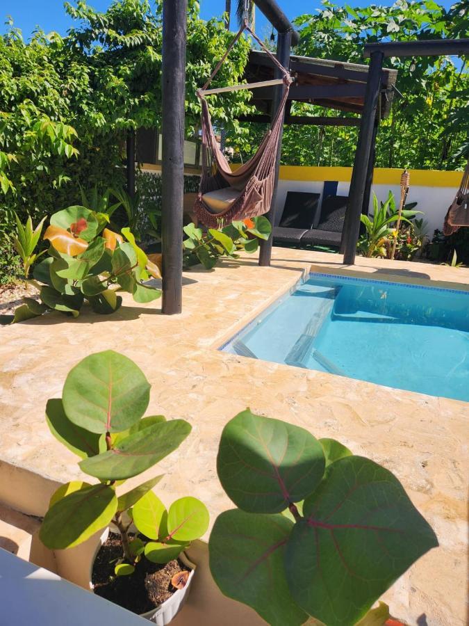 Puerto Nuevo Tropicoco Pool House Steps From The Beachヴィラ エクステリア 写真